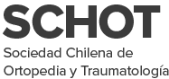 3e1915c5-logo-schot-1-modified_100000005702g02r000028