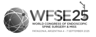 logo-wfse-botonera-modified